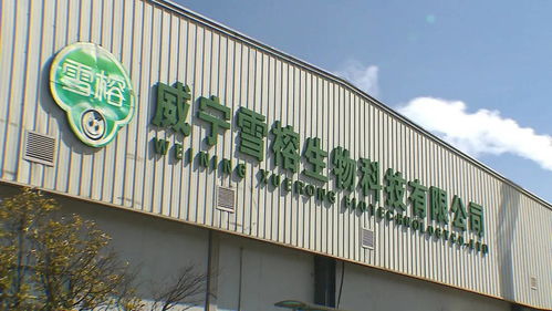 威宁雪榕与雪秀信息科技 生产防疫两手抓，有序推进复工复产