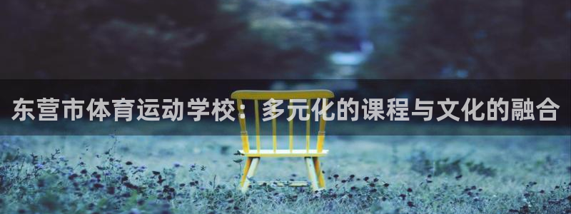 天天体育几点播出：东营市体育运动学校：多元化的课程与文化的融合