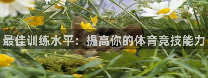 天天体育竞彩：最佳训练水平：提高你的体育竞技能力