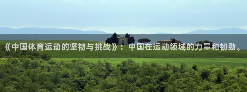 天天体育ufc：《中国体育运动的坚韧与挑战》：中国在运动领域的力量和韧劲。