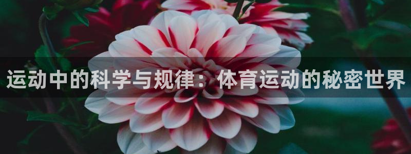 天天体育管家：运动中的科学与规律：体育运动的秘密世界
