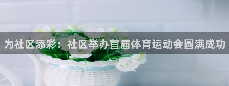 天天体育篮球星期一：为社区添彩：社区举办首届体育运动会圆满成功