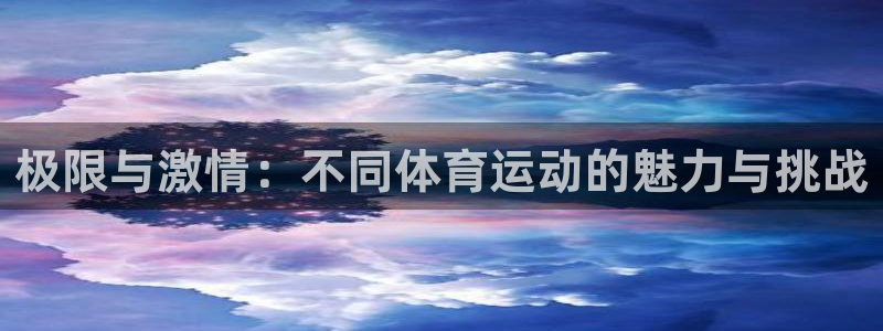 天天体育nba直播：极限与激情：不同体育运动的魅力与挑战