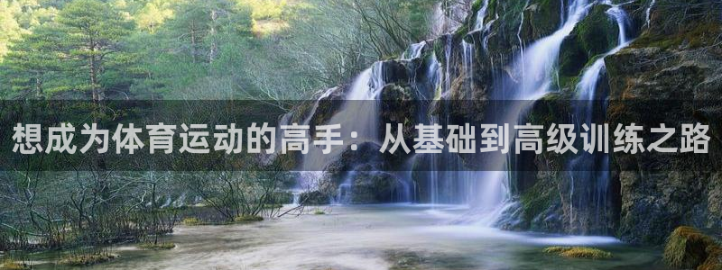 天天体育logo：想成为体育运动的高手：从基础到高级训练之路